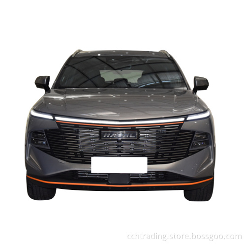 Haval Beast 5 Passenger Auto chiusa a buon mercato
